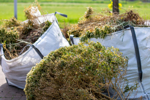 Best Same-Day Junk Removal  in Albemarle, NC